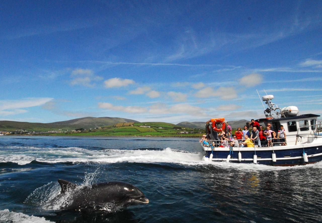 Dingle Harbour Cottages 3 Bed Sleeps 7 By Trident Holiday Homes Bagian luar foto